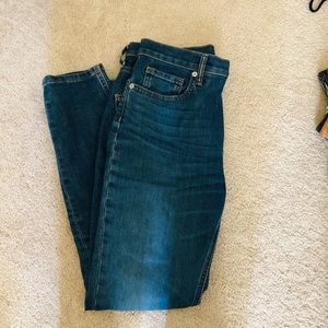 Everlane Authentic Stretch Highrise Skinny Jean